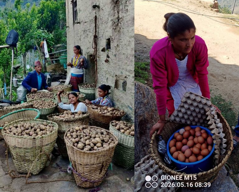 उत्पादनसँगै आत्मनिर्भरता बढाउँदै स्थानीय किसान